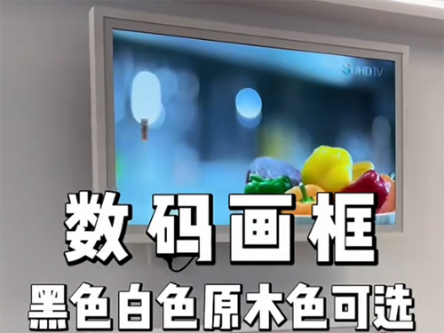 数码画框